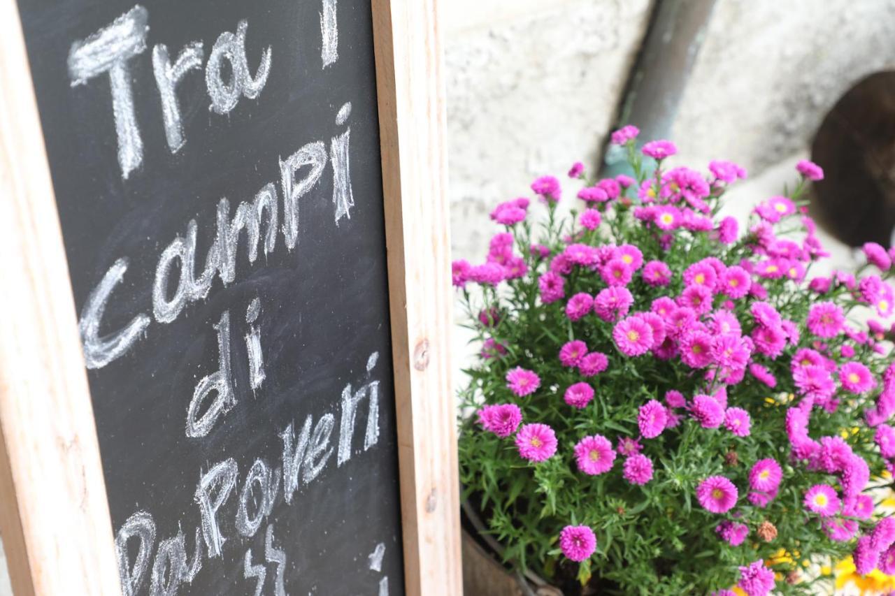 Tra I Campi Di Papaveri Medesano Екстер'єр фото